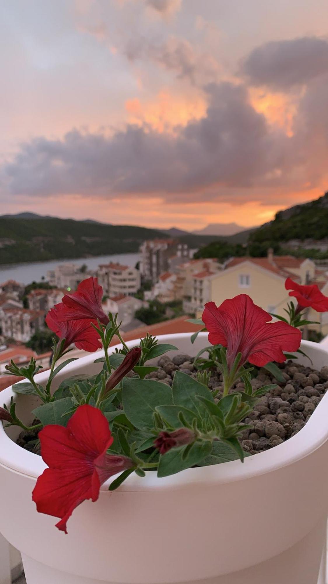 Hotel Ami - M Neum Εξωτερικό φωτογραφία